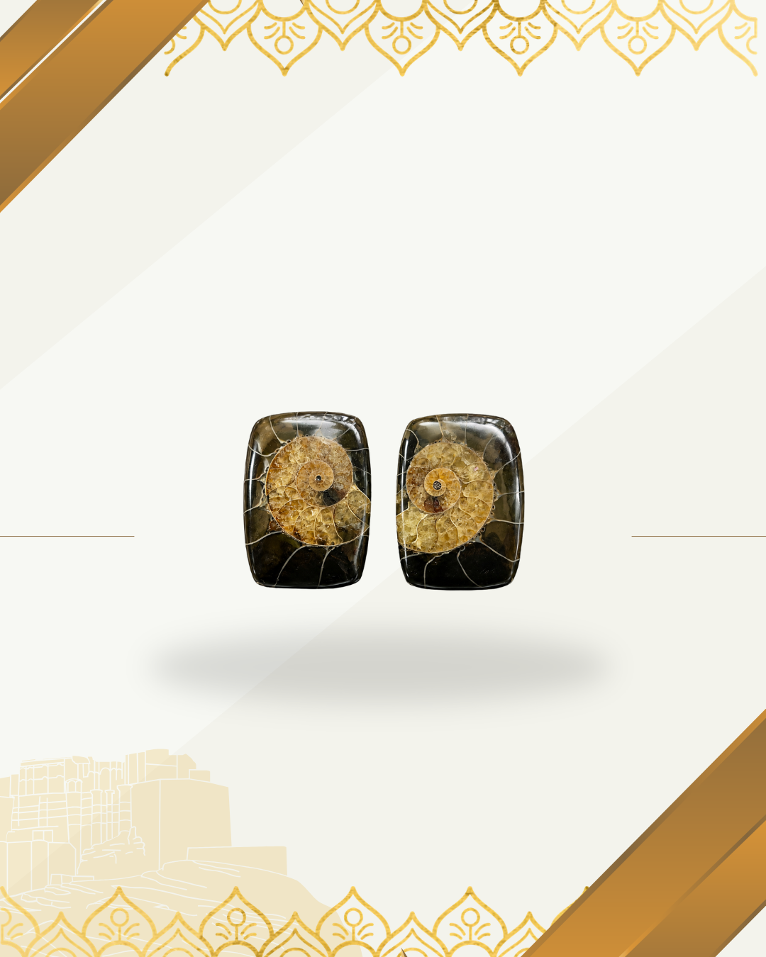 Ammonite Specimens Pair : Polished Cushion shaped Slices Pair