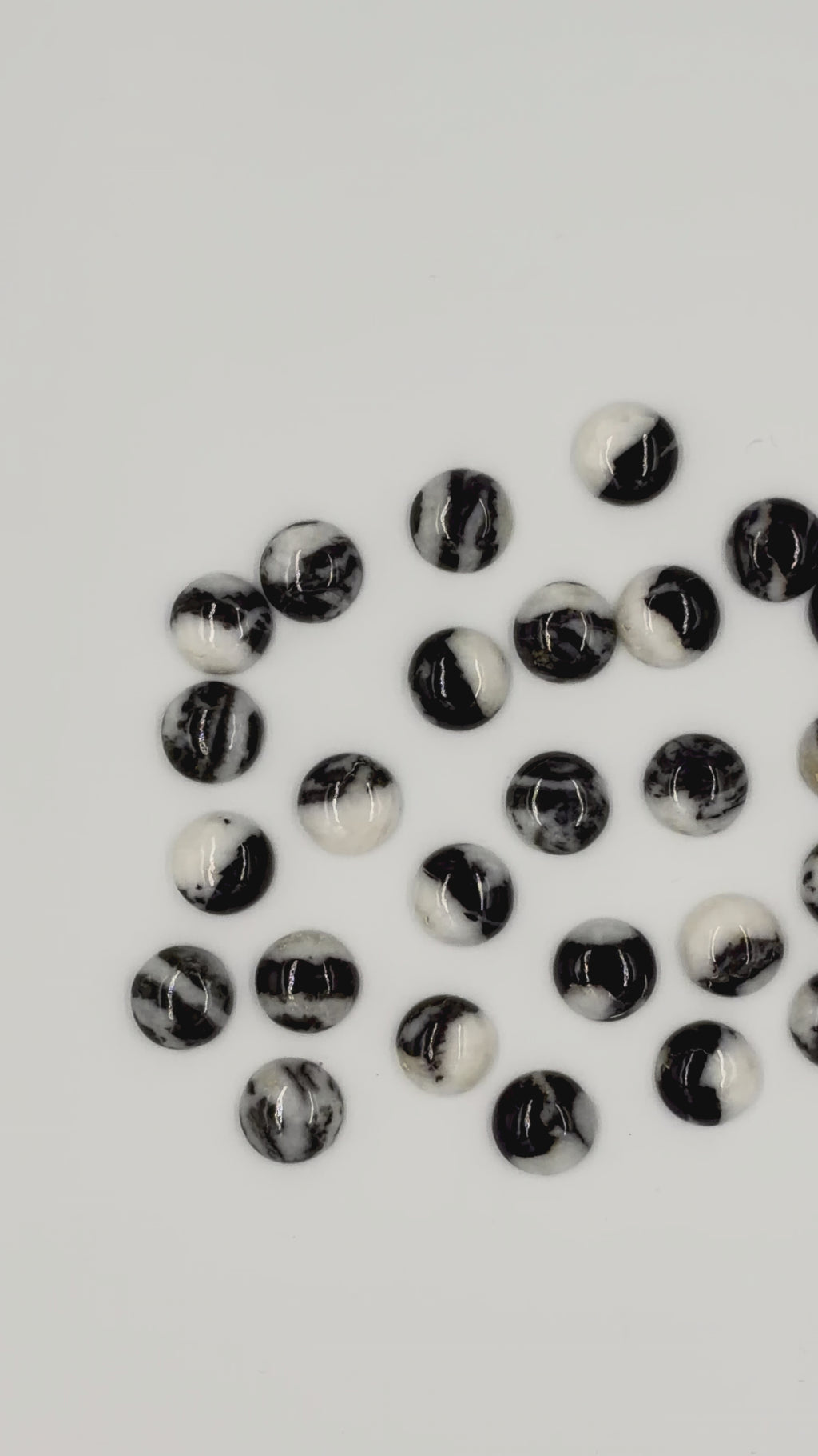 Black Zebra Jasper 12mm Round Shaped