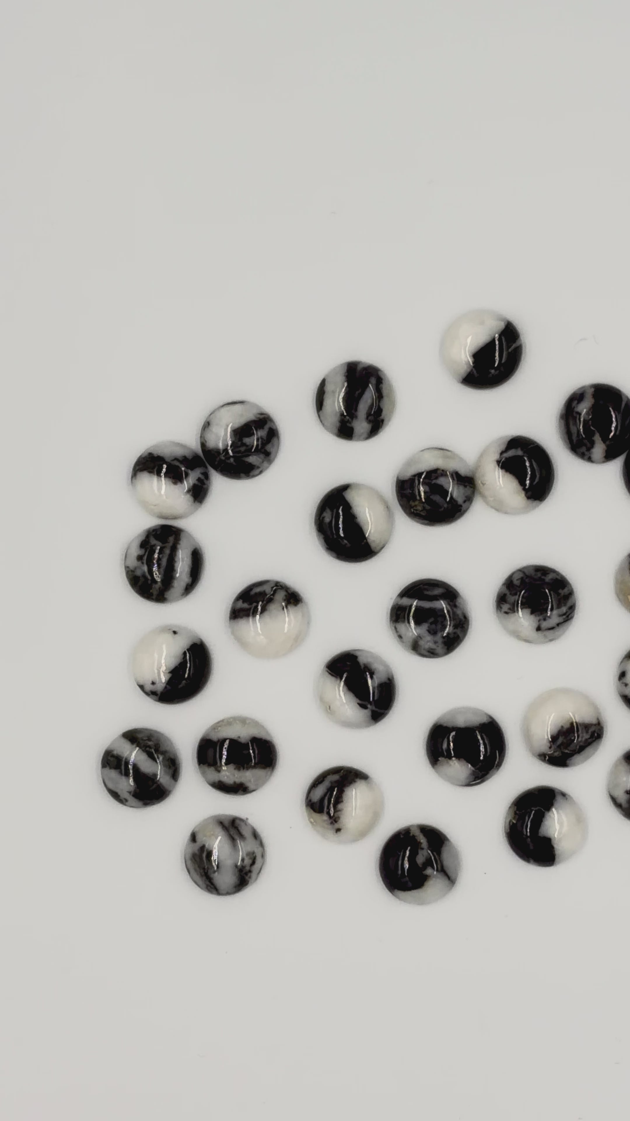 Black Zebra Jasper 12mm Round Shaped
