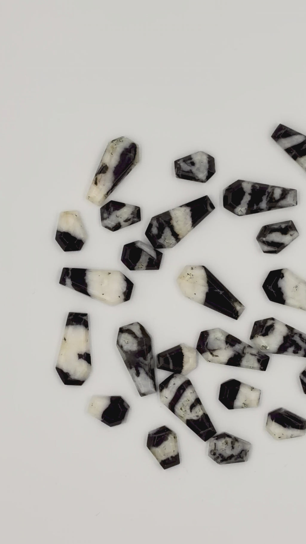 Black Zebra Jasper Coffin Shaped