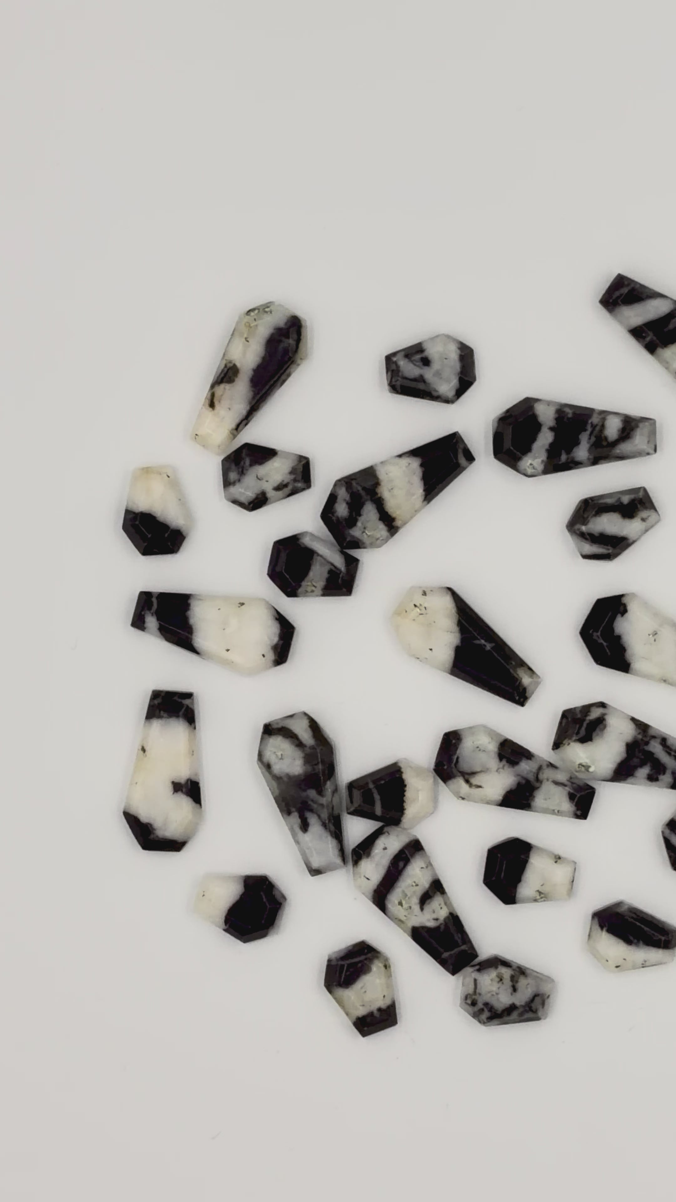 Black Zebra Jasper Coffin Shaped